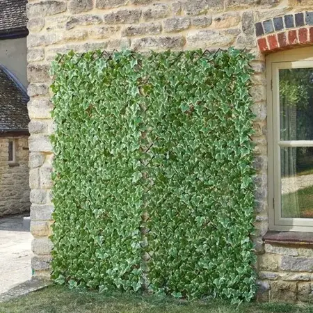 Ivy Leaf Trellis 180 x 90 cm