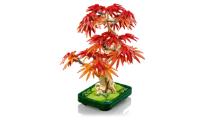 Japanese Red Maple Bonsai Tree (Christmas Catalogue Line - All Versions) - image 4