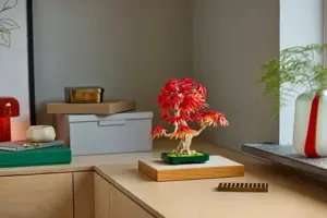 Japanese Red Maple Bonsai Tree (Christmas Catalogue Line - All Versions) - image 3