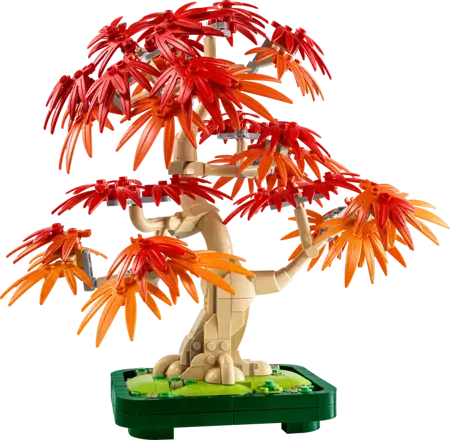 Japanese Red Maple Bonsai Tree (Christmas Catalogue Line - All Versions) - image 1