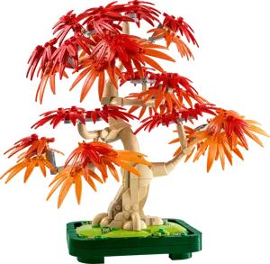 Japanese Red Maple Bonsai Tree (Christmas Catalogue Line - All Versions) - image 1