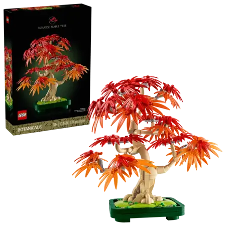 Japanese Red Maple Bonsai Tree (Christmas Catalogue Line - All Versions) - image 2