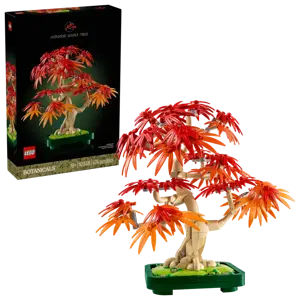 Japanese Red Maple Bonsai Tree (Christmas Catalogue Line - All Versions) - image 2