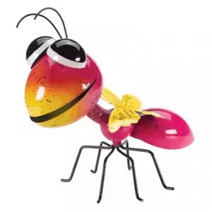 Jazee Ant - Large - image 2