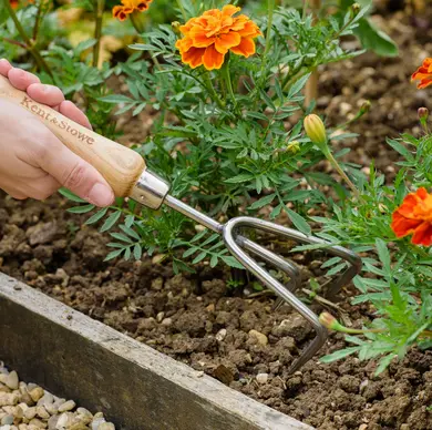 Kent & Stowe Stainless Steel Hand 3 Prong Cultivator FSC - image 3