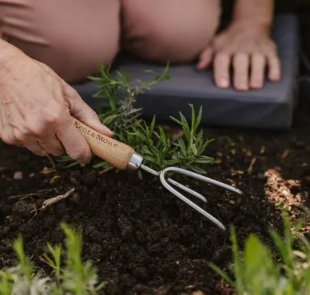 Kent & Stowe Stainless Steel Hand 3 Prong Cultivator FSC - image 2