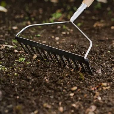 Kent & Stowe Stainless Steel Soil Rake FSC-100% - image 3