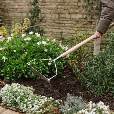 Kent & Stowe Stainless Steel Soil Rake FSC-100% - image 2