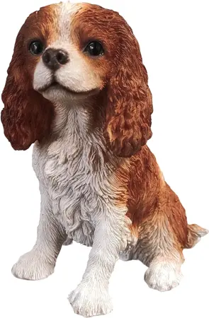 King Charles Spaniel