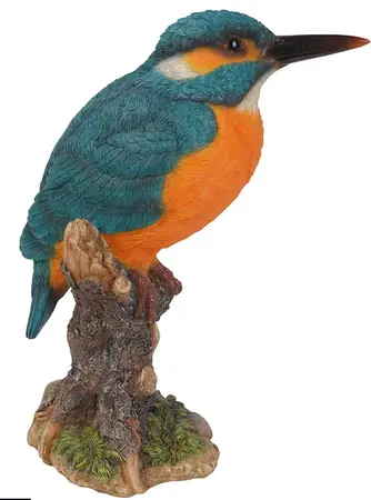 Kingfisher on Stump