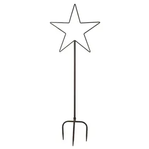 Large Star Stake