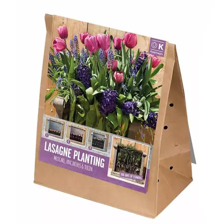 Patio Lasagne Pink-Blue X40 - image 1