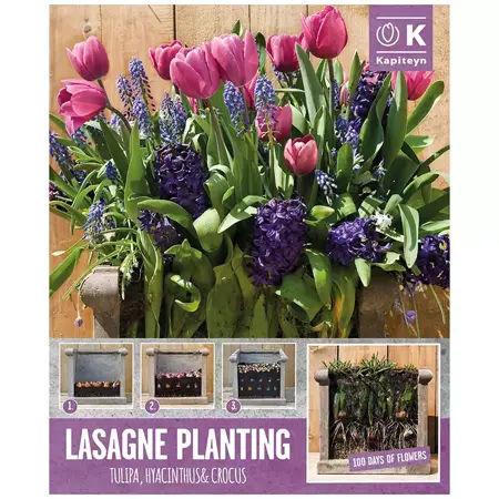 Patio Lasagne Pink-Blue X40 - image 2