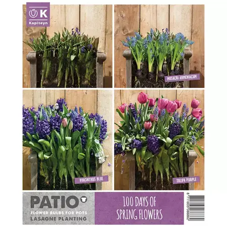 Patio Lasagne Pink-Blue X40 - image 3