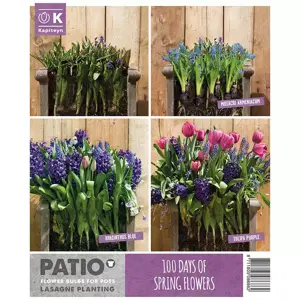 Patio Lasagne Pink-Blue X40 - image 3