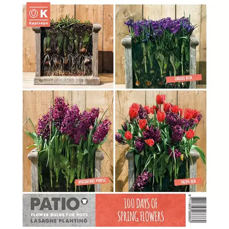 Patio Lasagne Red-Purple X40 - image 3