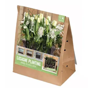 Patio Lasagne White X40 - image 1