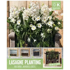 Patio Lasagne White X40 - image 2