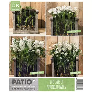 Patio Lasagne White X40 - image 3