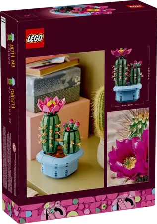 Botanicals - Flowering Cactus - image 3