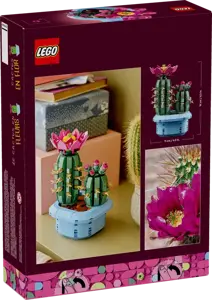 Botanicals - Flowering Cactus - image 3