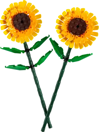 Botanicals - Sunflowers - image 1