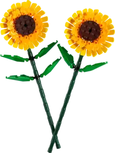 Botanicals - Sunflowers - image 1