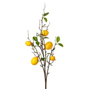 Lemon Branch