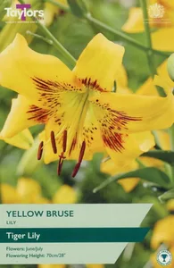 LILY YELLOW BRUSE 16-18 P/P