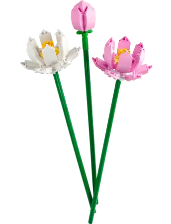 Lotus Flowers - image 2
