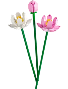 Lotus Flowers - image 2