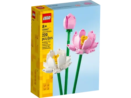Lotus Flowers - image 3