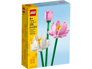 Lotus Flowers - image 3