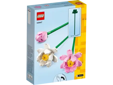 Lotus Flowers - image 4