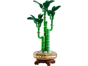 Lucky Bamboo - image 2