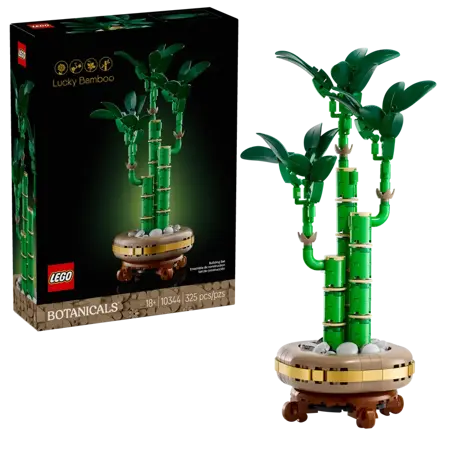 Lucky Bamboo - image 1