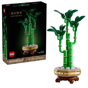 Lucky Bamboo - image 1