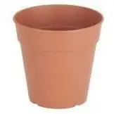 Madagascar To Grow Pot 11Cm Terracotta