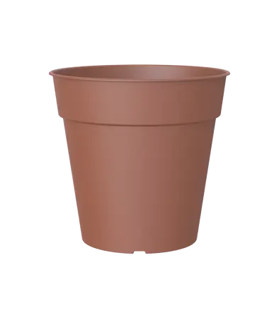 Madagascar To Grow Pot 13Cm Terracotta