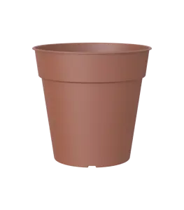 Madagascar To Grow Pot 19Cm Terracotta