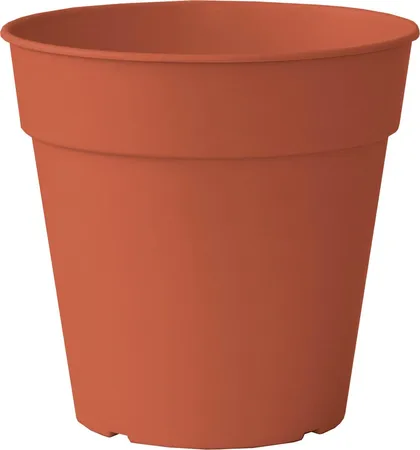 Madagascar To Grow Pot 7,5Cm Terracotta