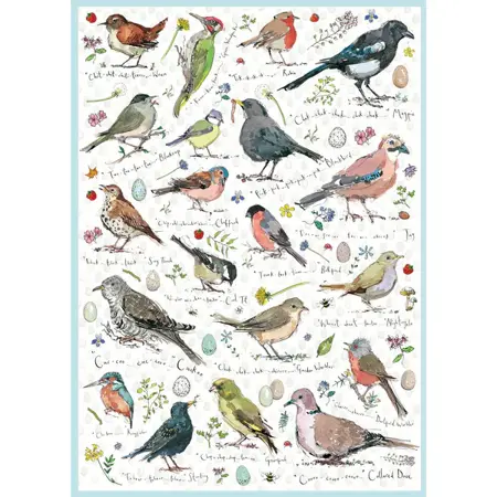 Madeleine Floyd Birdsong 1000 Piece Jigsaw Puzzle - image 1