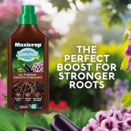 Maxicrop Seaweed Extract     1Ltr - image 3