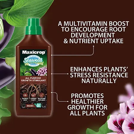 Maxicrop Seaweed Extract     1Ltr - image 4