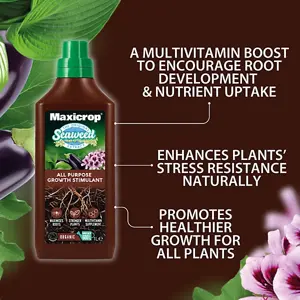 Maxicrop Seaweed Extract     1Ltr - image 4