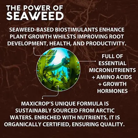 Maxicrop Seaweed Extract     1Ltr - image 5