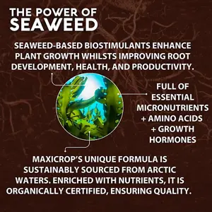 Maxicrop Seaweed Extract     1Ltr - image 5
