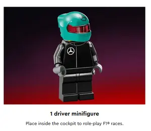 Mercedes-AMG F1® W15 Race Car - image 6