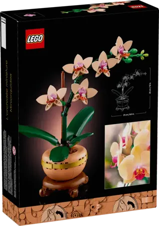 Mini Orchid (Christmas Catalogue Line - All Versions) - image 2