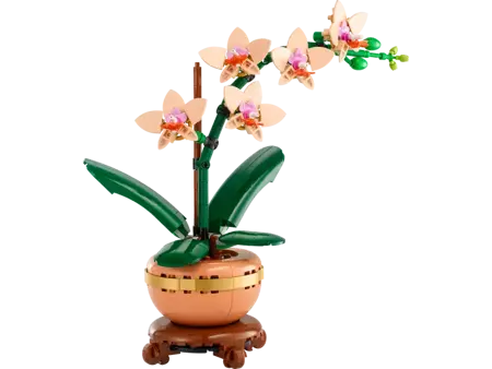 Mini Orchid (Christmas Catalogue Line - All Versions) - image 3